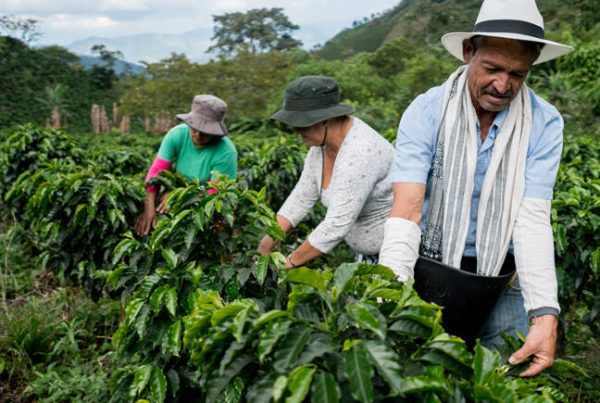 b-coffee-farmers-origin-countries2