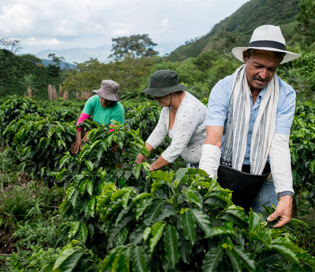 Farmers Coffee